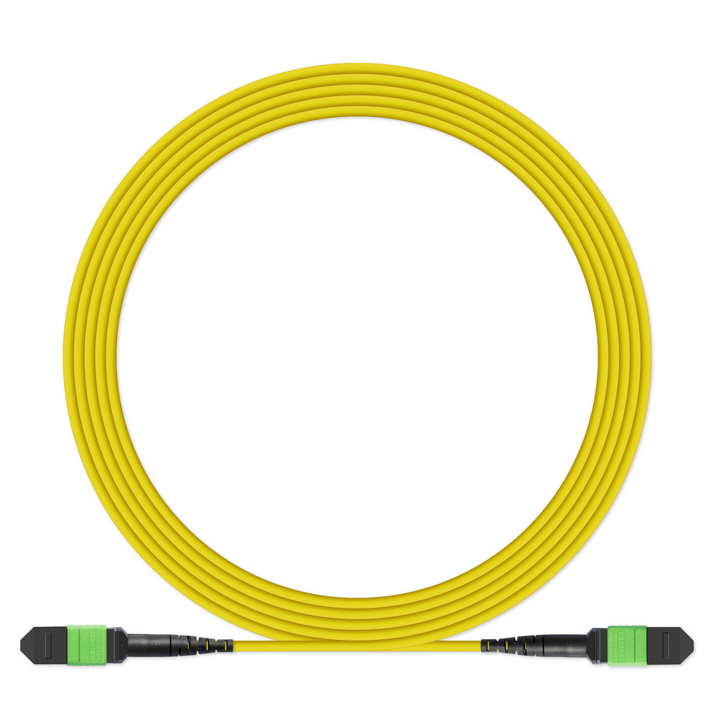 MPO-MTP fiber optic patch cord